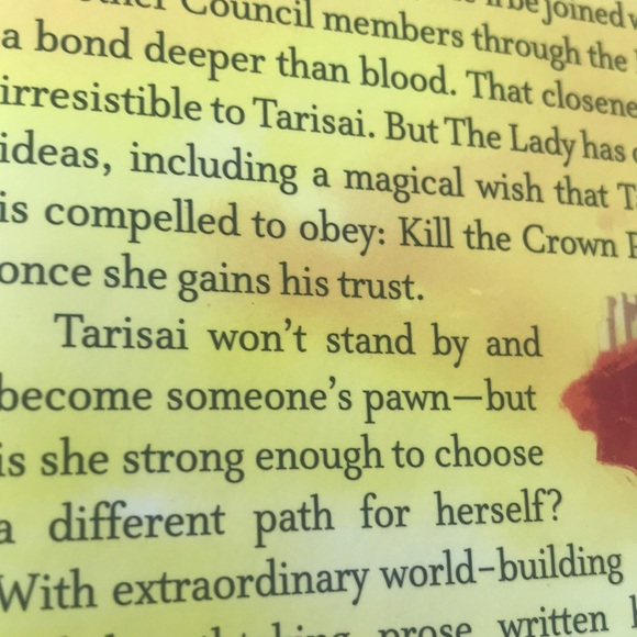 Book- Young Adult - Raybearer by Jordan Ifueko - Picture 4 of 8